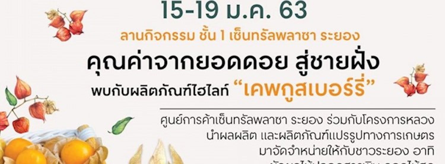 ROYAL PROJECT 2020 Zipevent