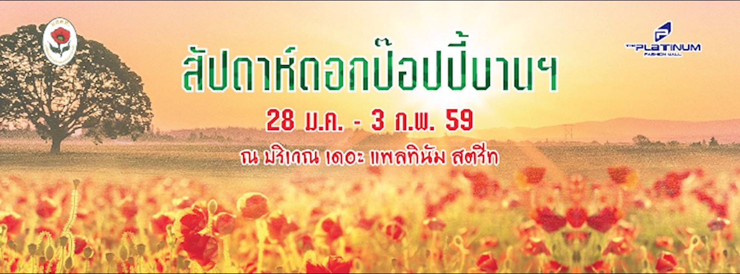 สัปดาห์ดอกป๊อปปี้บานเพื่อสงเคราะห์ครอบครัวทหารผ่านศึก Zipevent