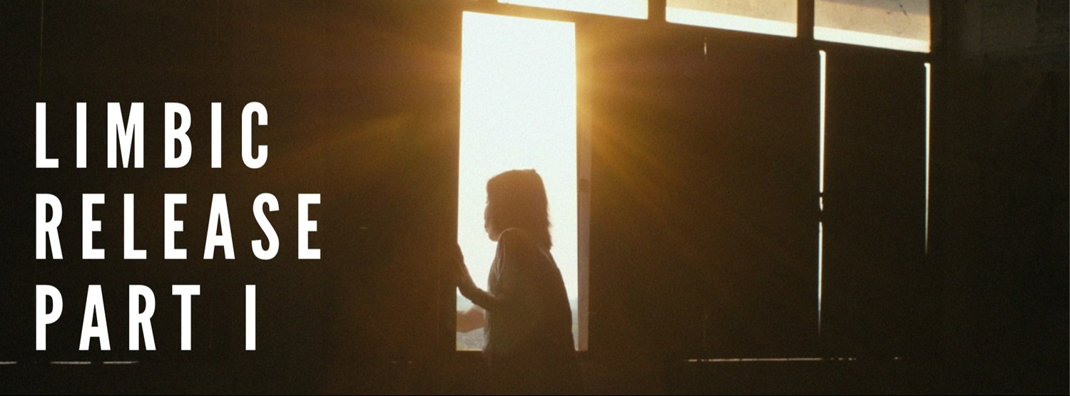 Limbic Release Part I Zipevent