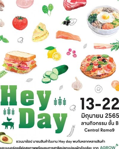 Hey Day 2022 Zipevent