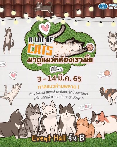 A LOT OF CATS Zipevent