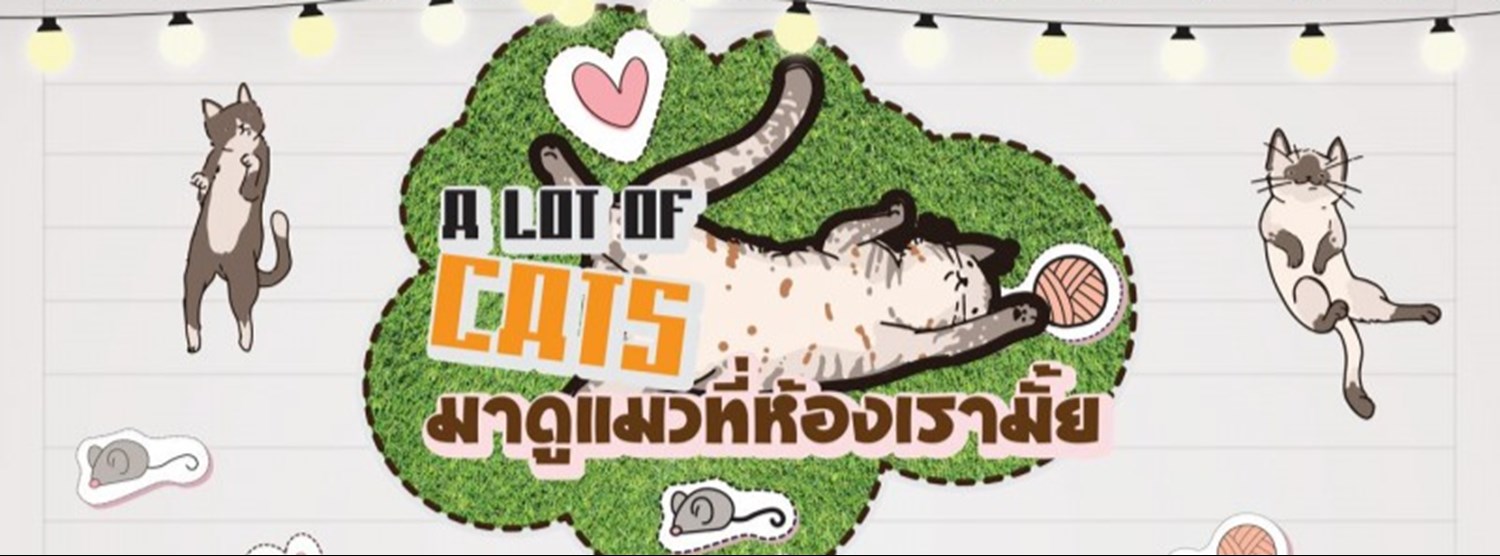 A LOT OF CATS Zipevent