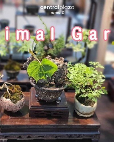 Minimal Garden #2 Zipevent