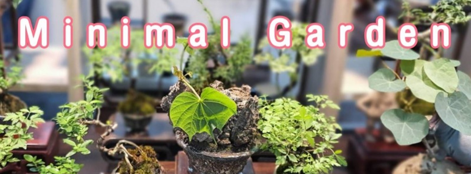 Minimal Garden #2 Zipevent