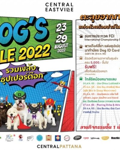 DOG VILLE 2022 Zipevent