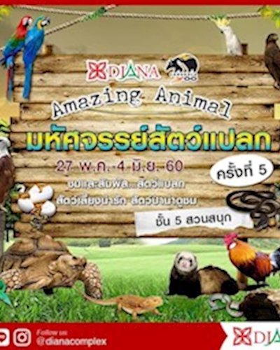 มหัศจรรย์สัตว์แปลก ครั้งที่ 5 Zipevent