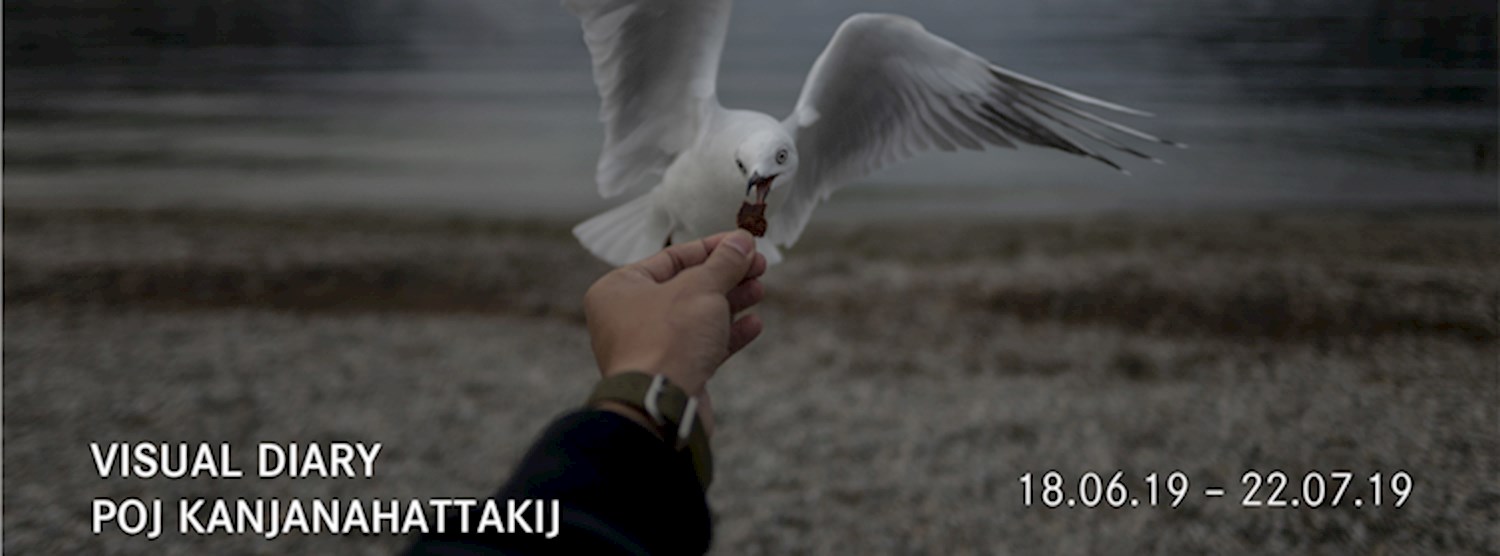 Visual Diary  Zipevent