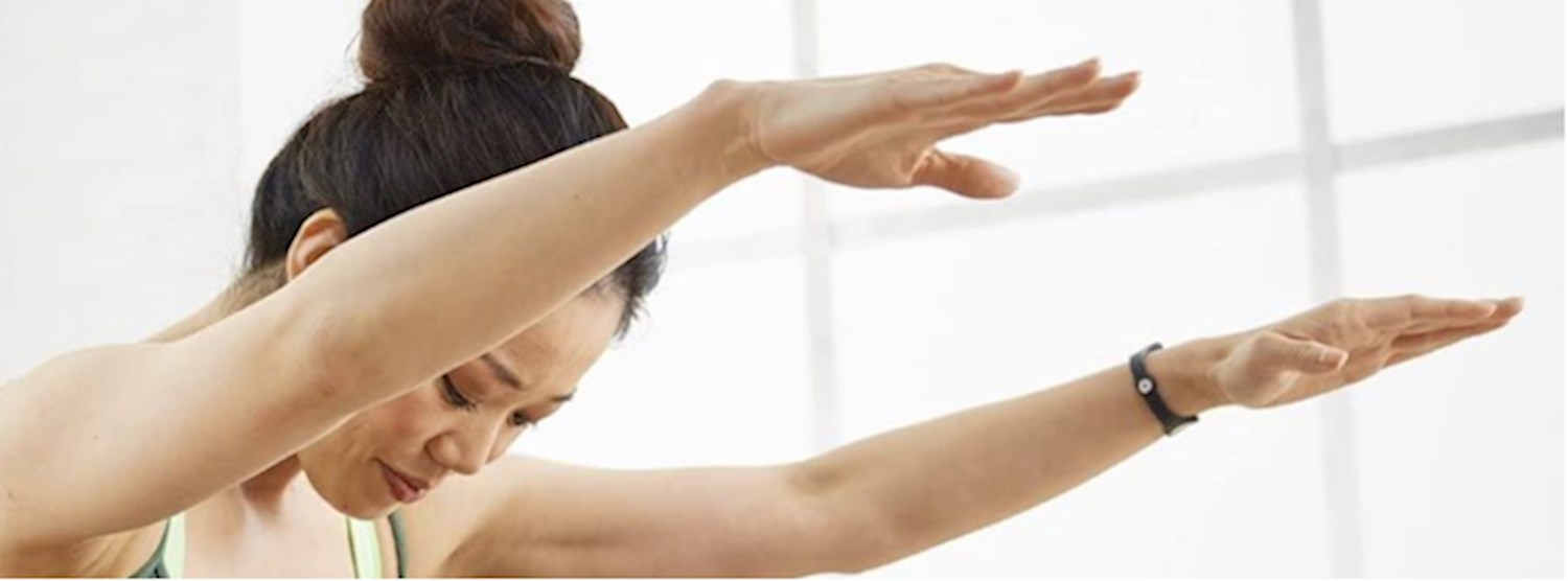 Online CEC - Mini Foam Roller™ Flow Zipevent