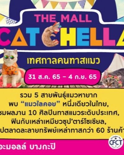 THE MALL CATCHELLA เทศกาลคนทาสแมว Zipevent