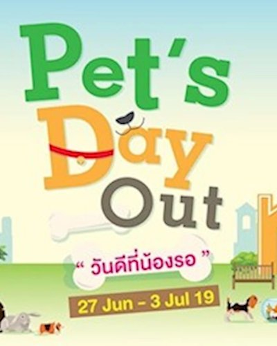 Pet’s Day Out วันดีที่น้องรอ Zipevent