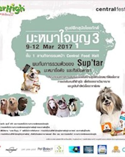 มะหมาใจบุญ 3 Zipevent