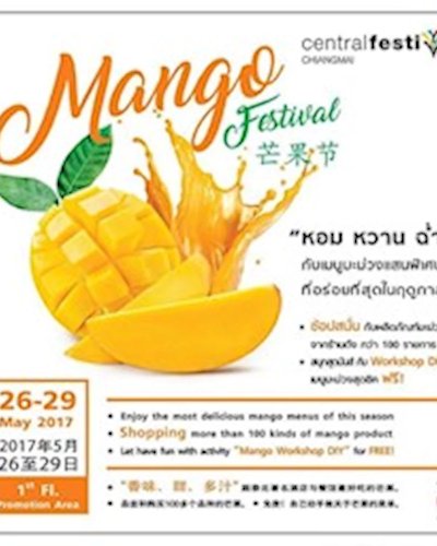 MANGO FESTIVAL Zipevent