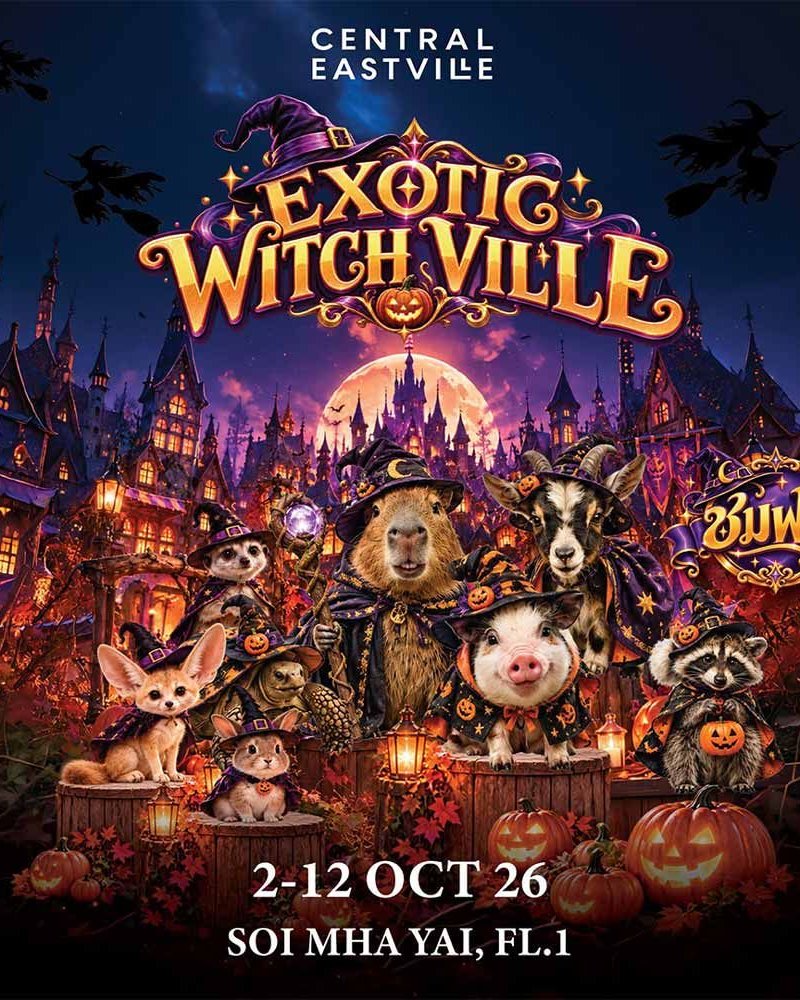 Exotic Witch Ville Zipevent