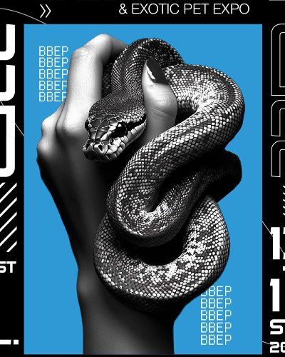 B-BEP: Bangkok Ballpython & Exotic Pet Expo ครั้งที่ 4 Zipevent