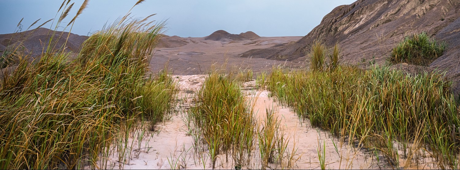 Chronicle of the Landscape Zipevent