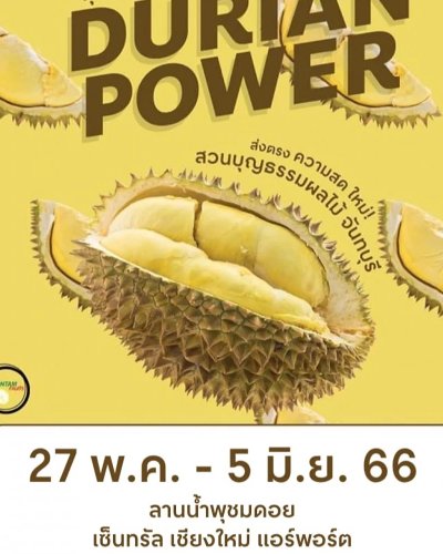 DURIAN POWER Zipevent