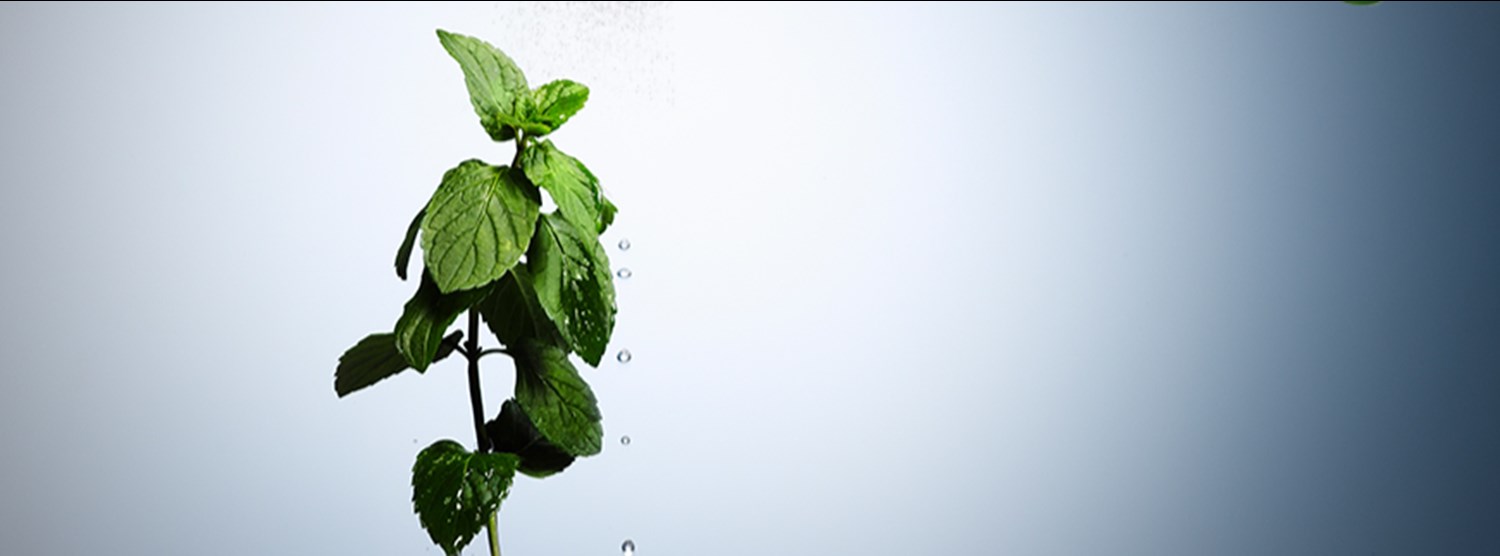 Complimentary Webinar Zipevent