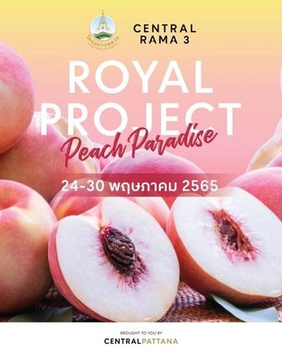 ROYAL PROJECT Peach Paradise Zipevent