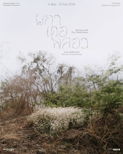  ผกา เดอ ฟลอว - Blooms With The Wind Blows Zipevent