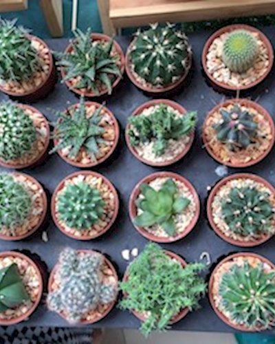 Bangkok Farmers Market at Habito Zipevent