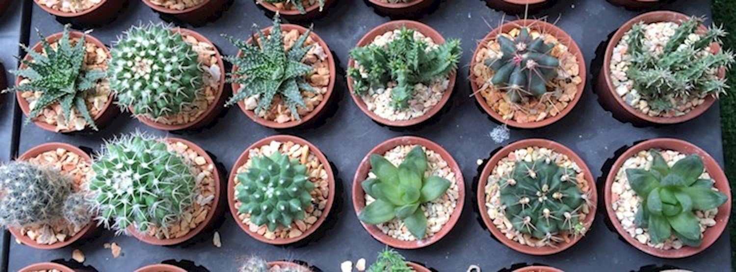 Bangkok Farmers Market at Habito Zipevent