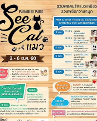 See Cat แมว Zipevent