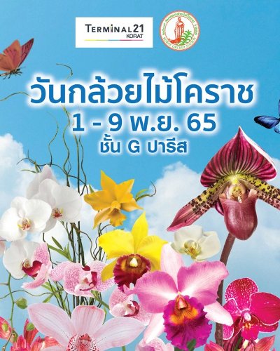 วันกล้วยไม้โคราช Zipevent