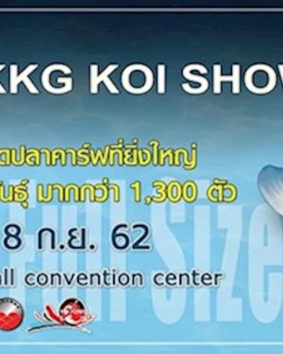 THE 7th ZNA TKKG KOI SHOW 2019 Zipevent