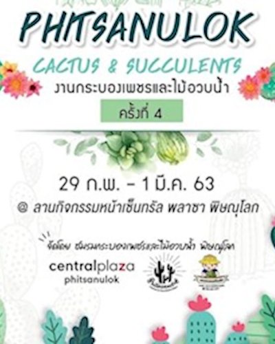 Phitsanulok Cactus & Succulents Zipevent