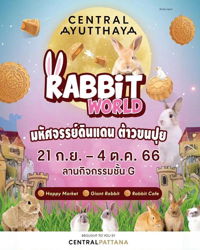 Rabbit World Zipevent