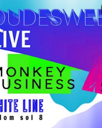 Dudesweet Live at Whiteline Zipevent