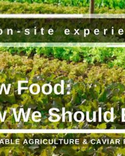 Slow Food: How We Should Eat Zipevent