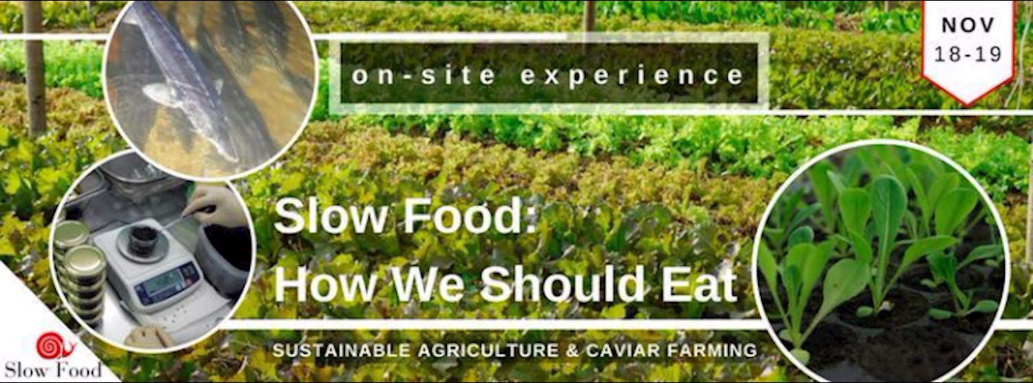 Slow Food: How We Should Eat Zipevent