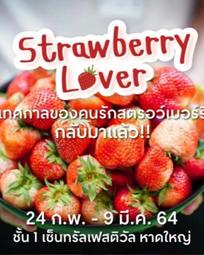 มหัศจรรย์ผลิตภัณฑ์โครงการหลวง Strawberry Lover Zipevent