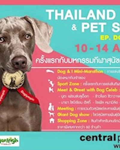 Thailand Dog and Pet show ep. Doglympic Zipevent
