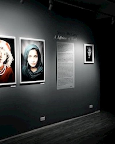 Museum Night with the Curator Zipevent