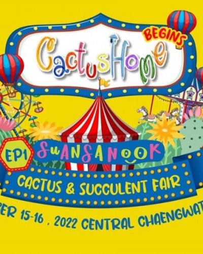 Cactus Home Begins ep1 SUANSANOOK Zipevent