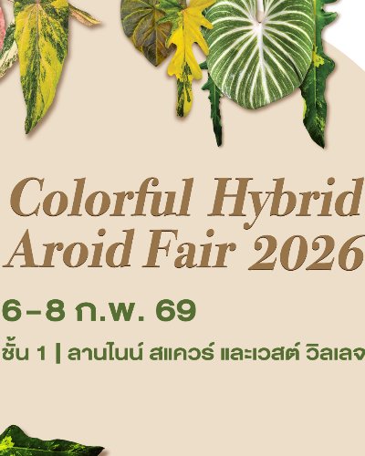 Colorful Hybrid Aroid Fair 2026 Zipevent