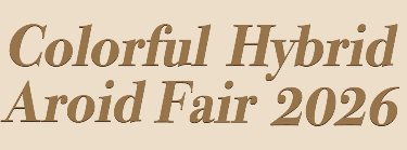 Colorful Hybrid Aroid Fair 2026 Zipevent