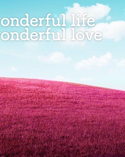 Wonderful Life Wonderful Love Zipevent