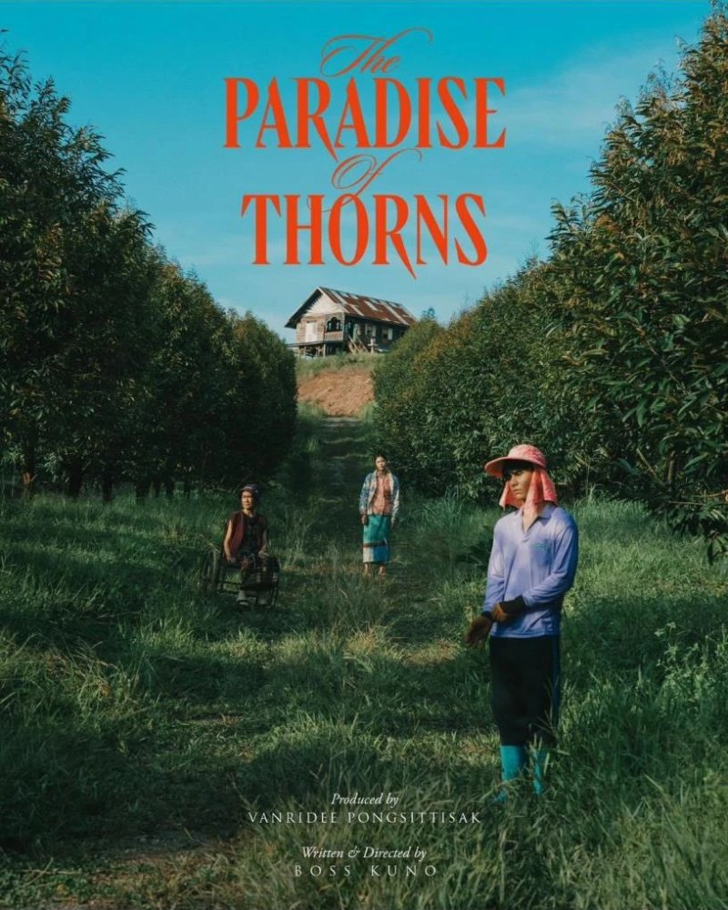 Paradise of thorns Zipevent