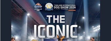 Thailand International Dog Show 2026 Presented by KANIVA Zipevent
