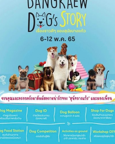 Bangkaew Dog Story Zipevent