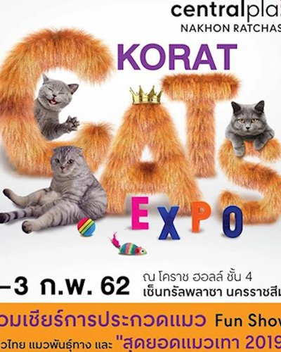 KORAT CAT EXPO Zipevent
