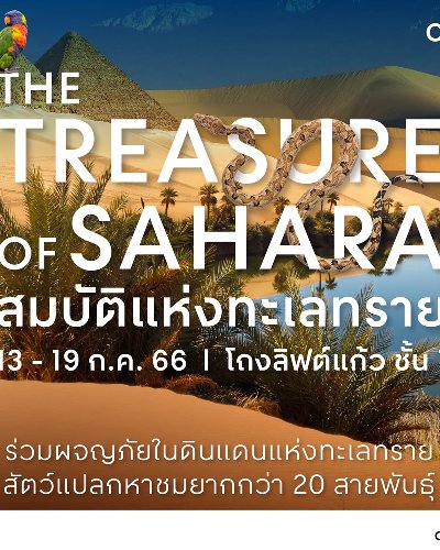 The Treasure of Sahara Zipevent