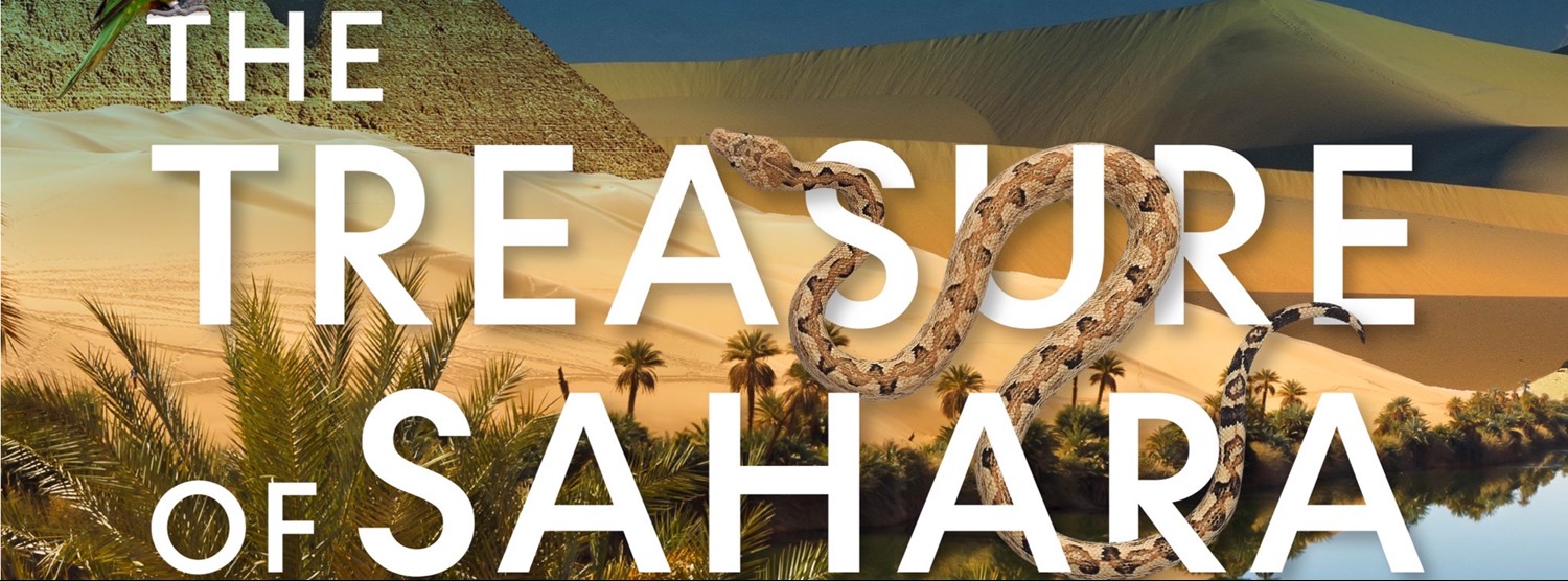 The Treasure of Sahara Zipevent