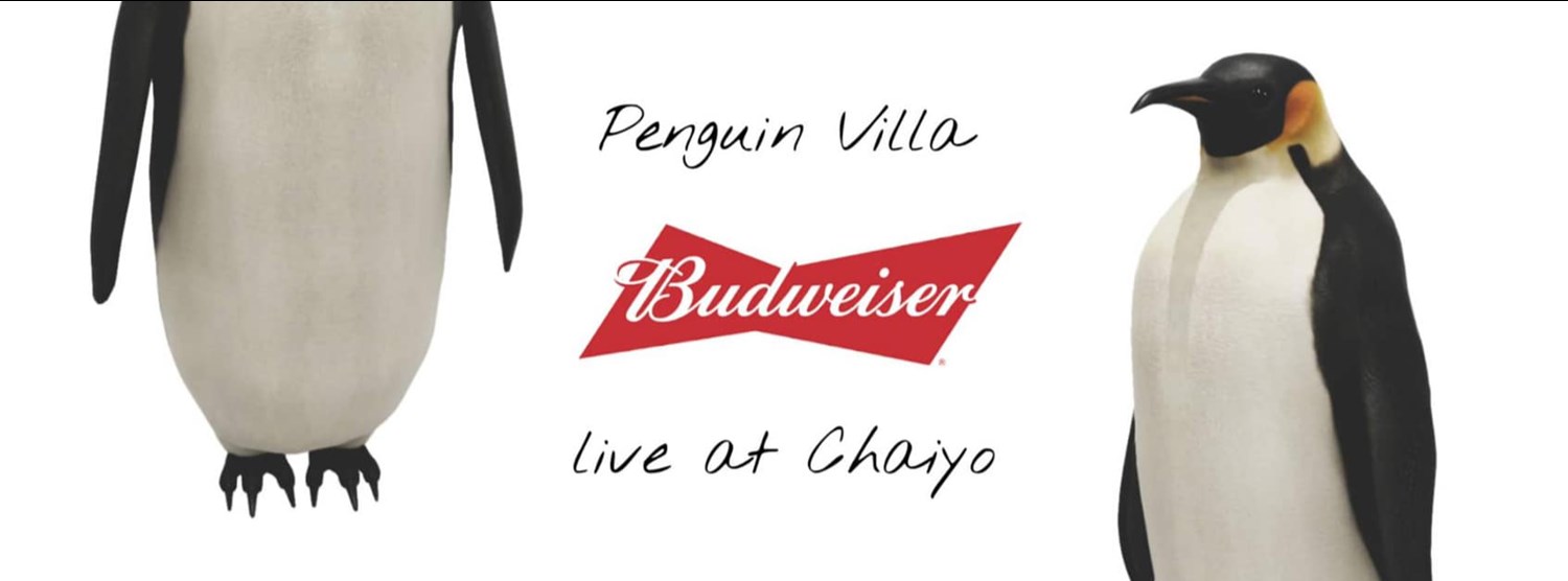 Penguin Villa Live at Chaiyo Zipevent
