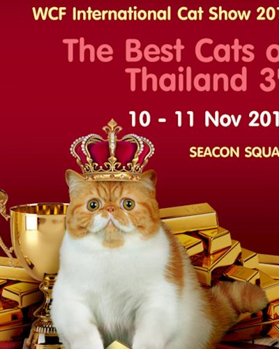 The Best Cats of Thailand 3rd Zipevent