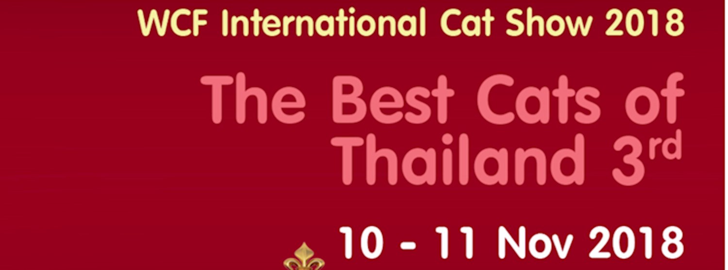 The Best Cats of Thailand 3rd Zipevent