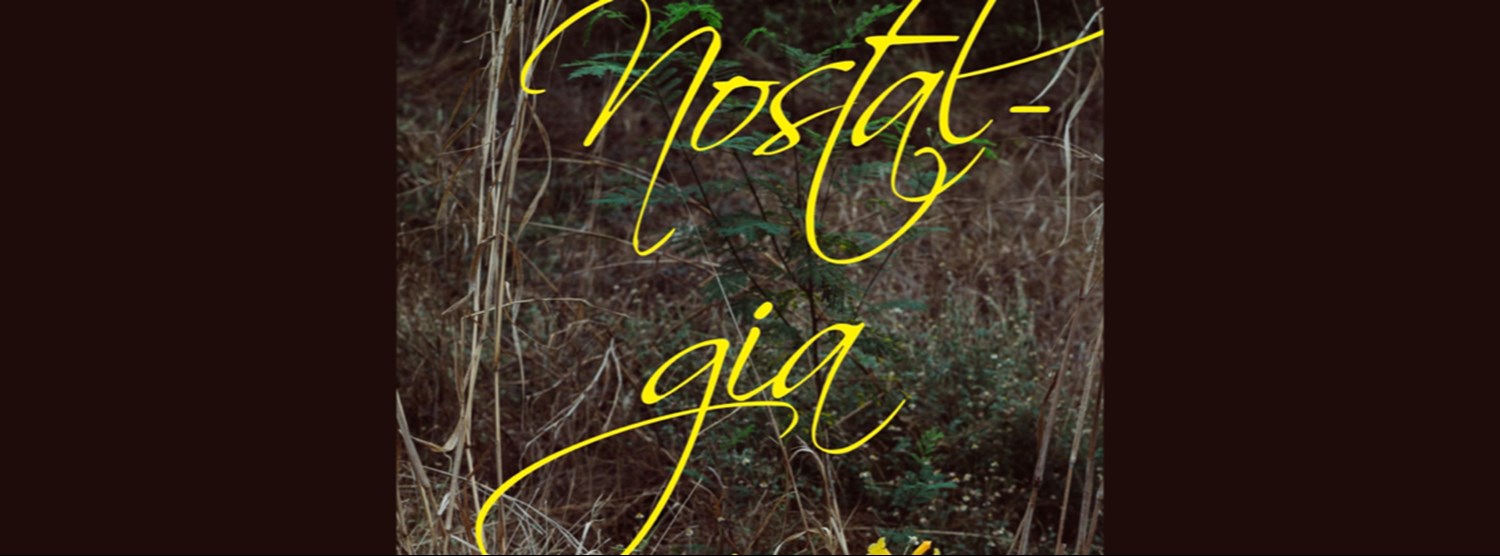 Nostalgia in a Vase: เด็ดดอกไม้ ใส่แจกัน Zipevent